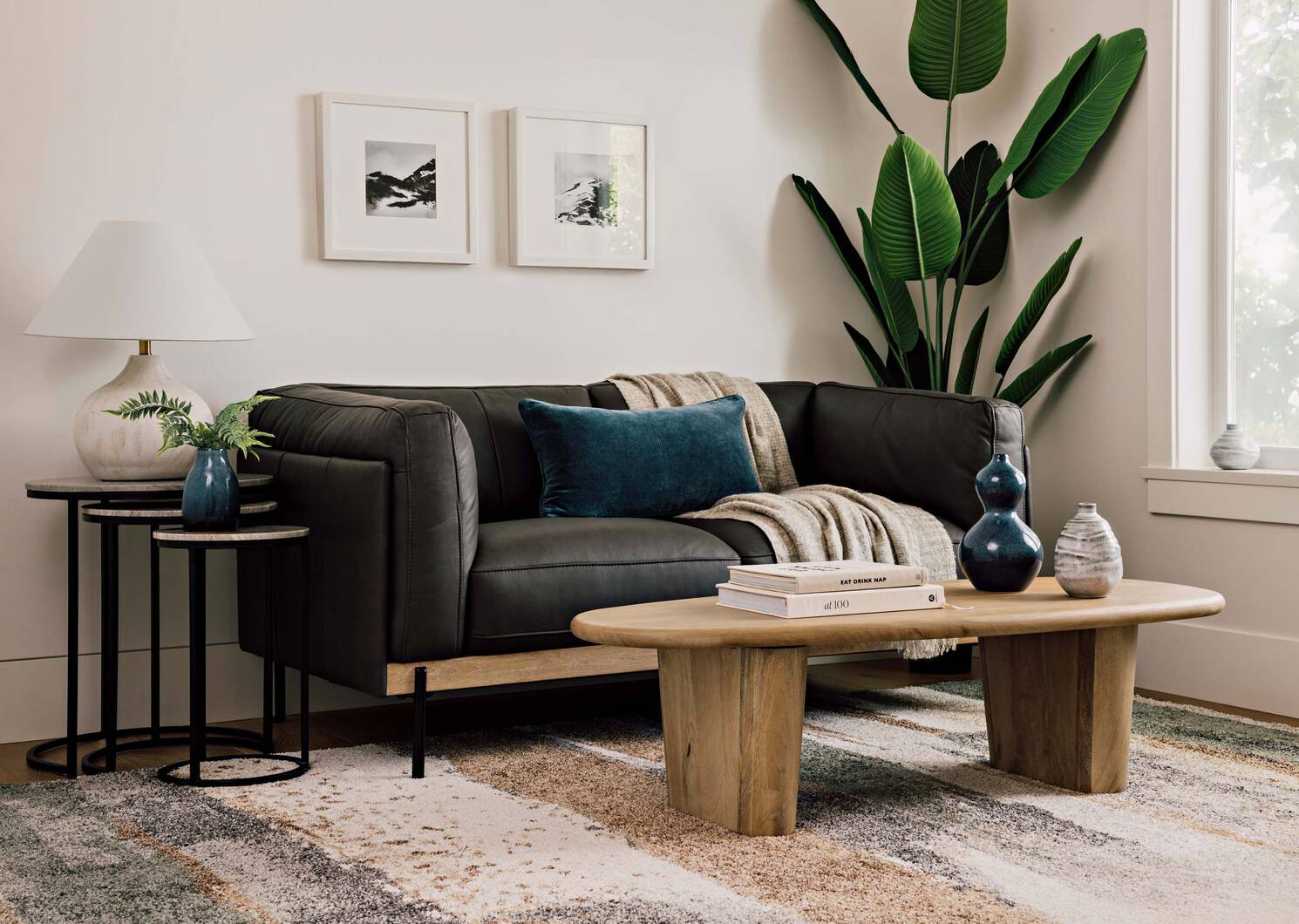 Kani Travelers Palm Potted X-Large