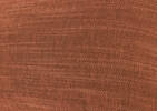 Coussin Bailey 12x22 tamarin