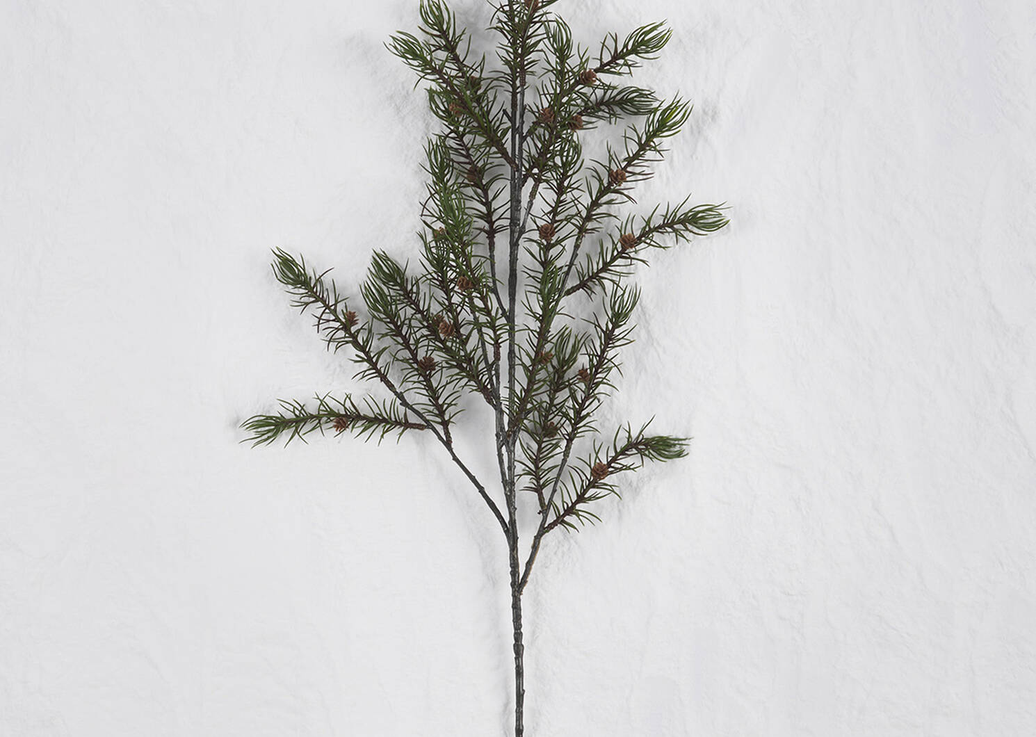 Oaklyn Pine Branch