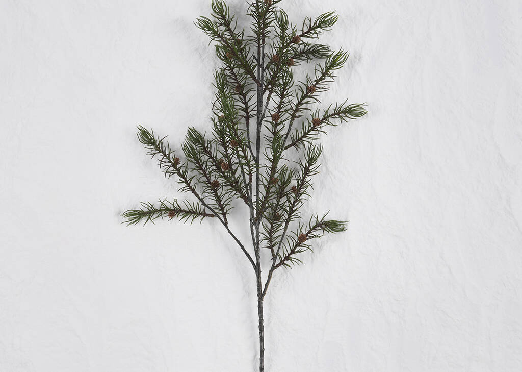 Oaklyn Pine Branch