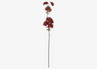Ricki Autumn Blossom Stem Red