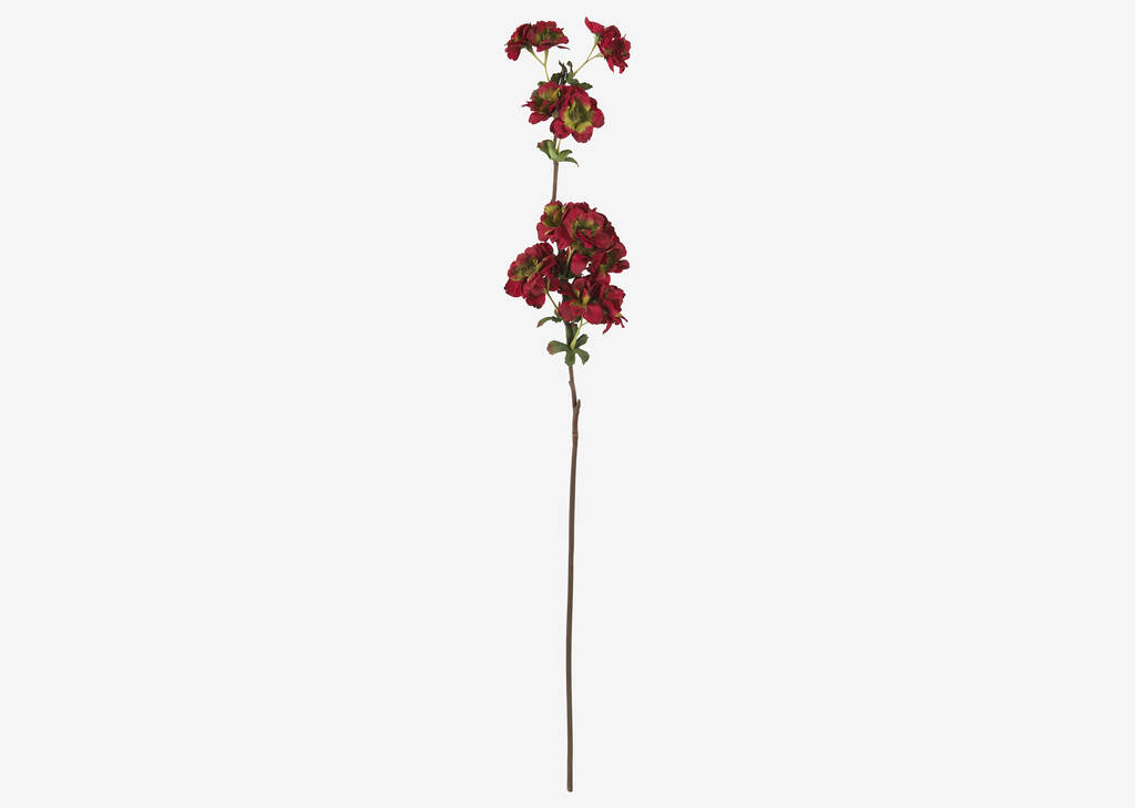 Ricki Autumn Blossom Stem Red