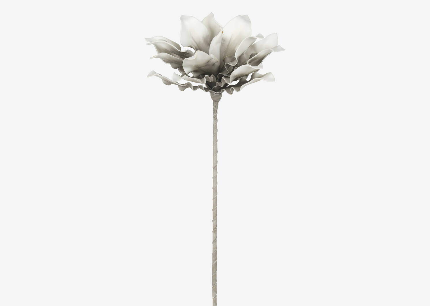 Fleur Mojave gris/blanc