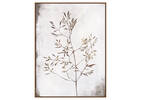 Toile Sprout