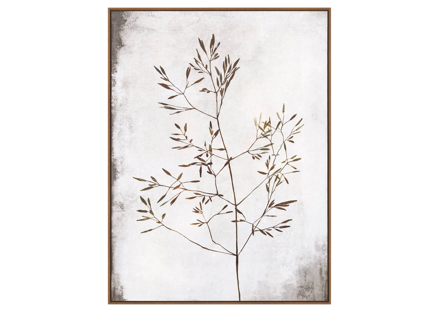 Toile Sprout
