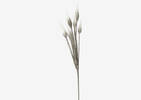 Valles Pinecone Cactus Grey/White