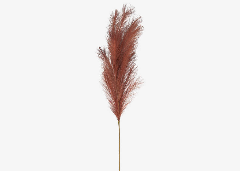 Tige d'herbe de la pampa Willemina