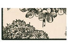 Hydrangea Napkin Set of 6 Natural/Black