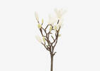 Norah Flower Branch White