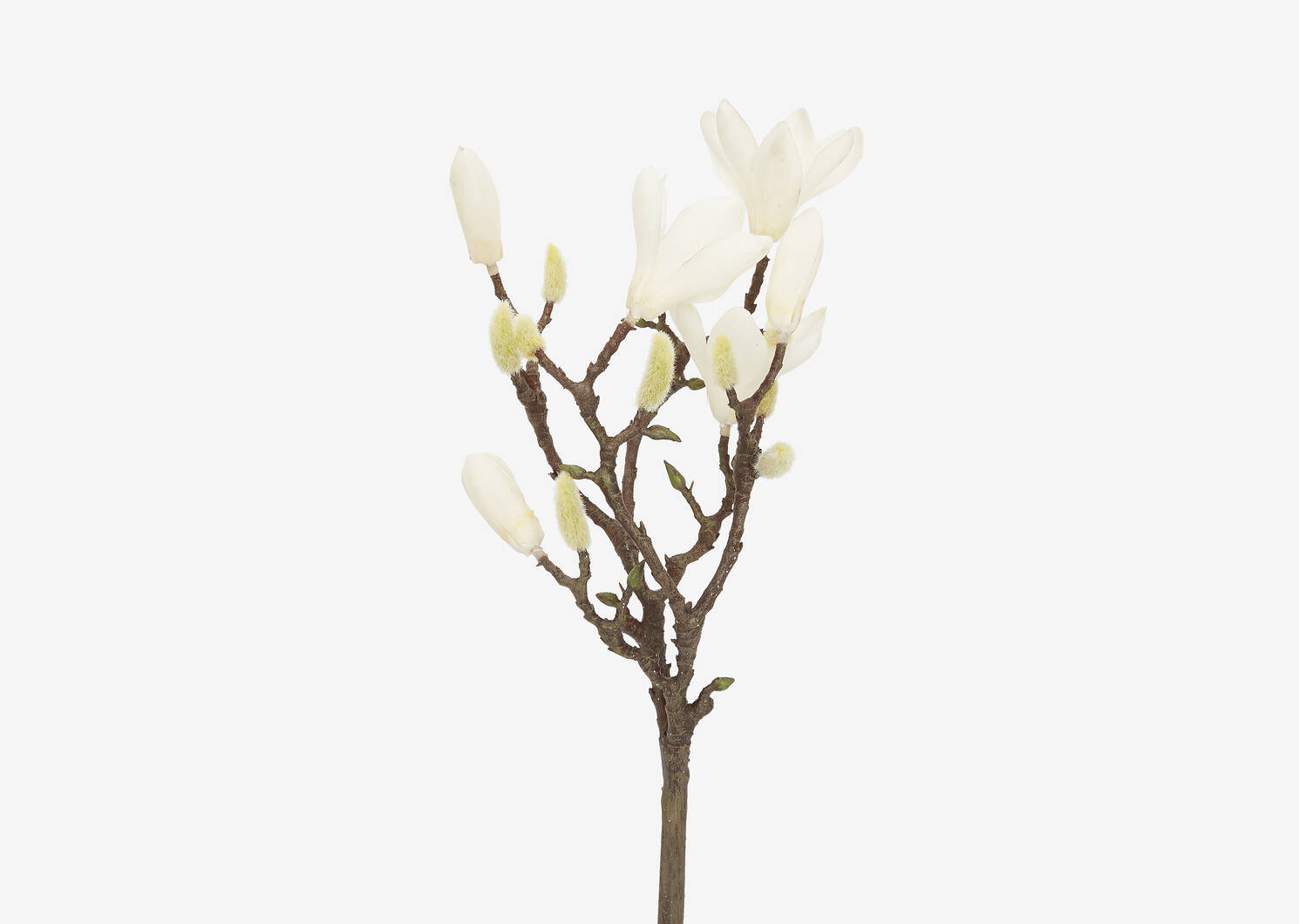 Norah Flower Branch White