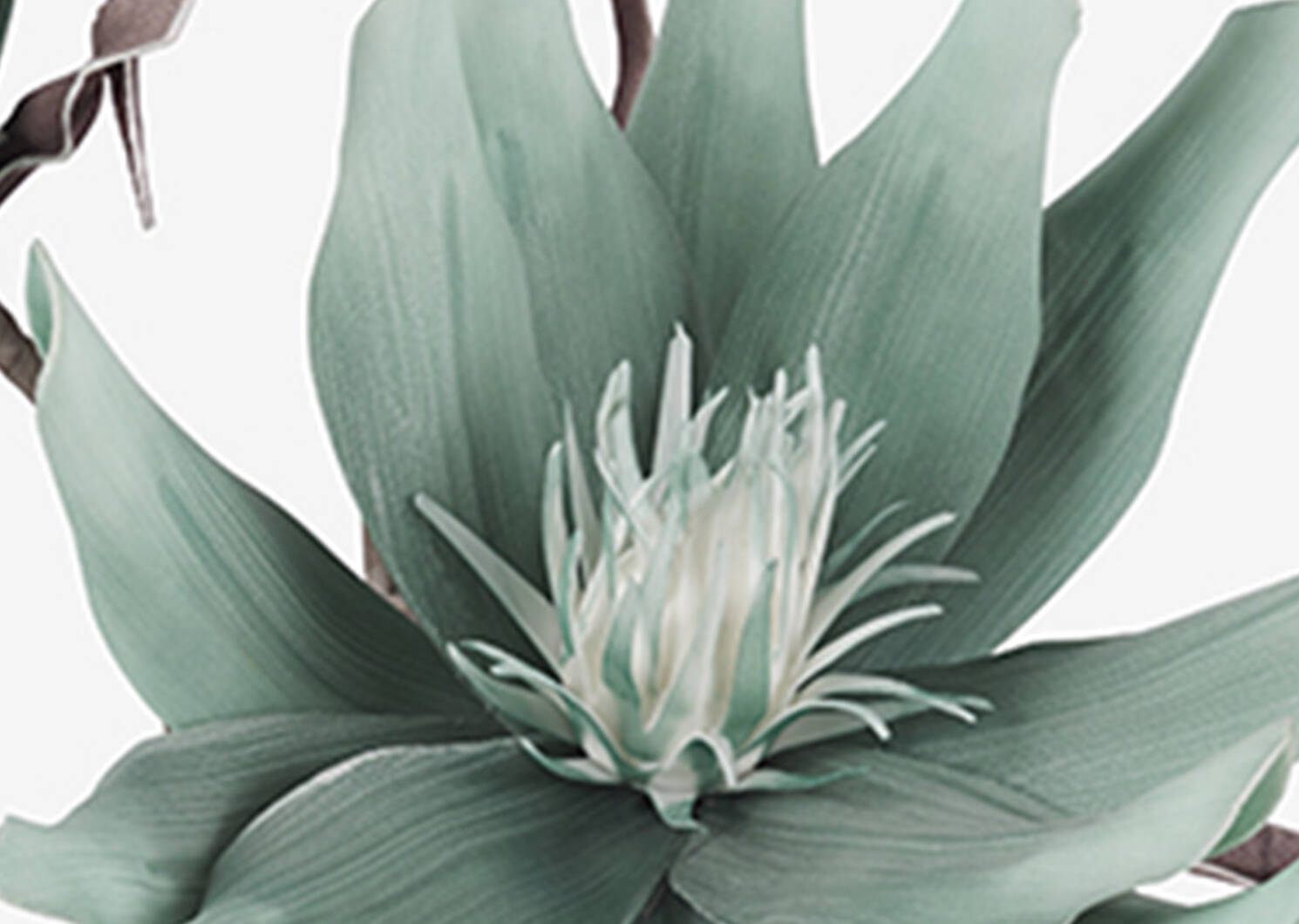 Kanna Flower Bunch Sage Urban Barn