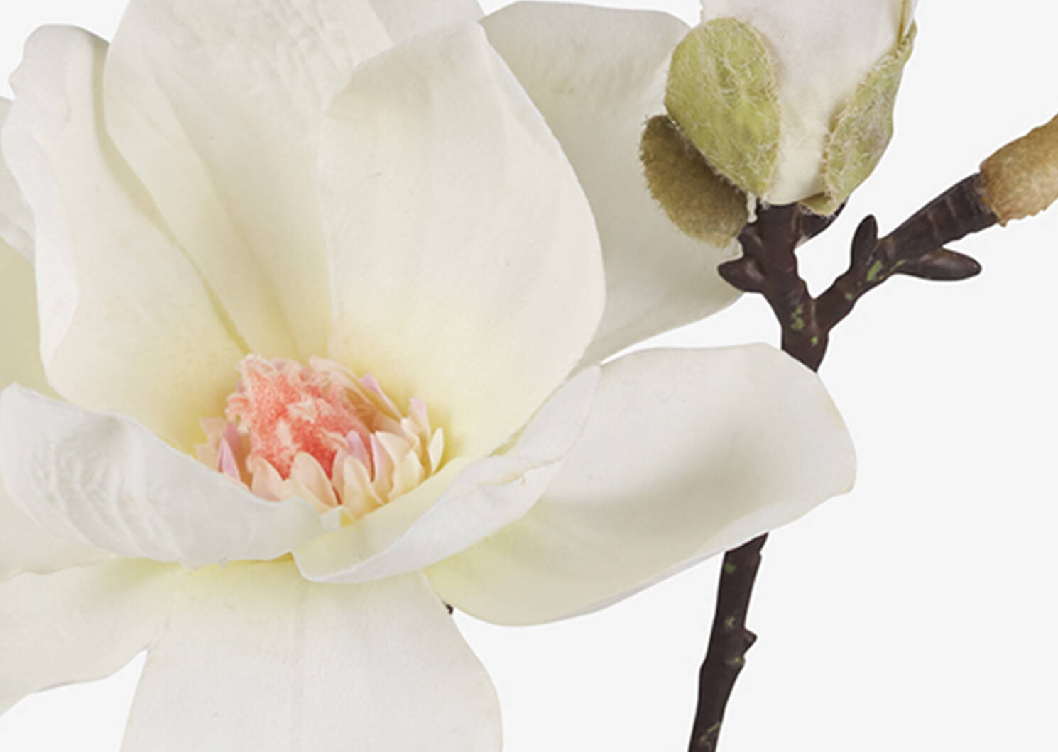 Emry Magnolia Stem Ivory