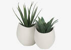 Cache-pots Raya