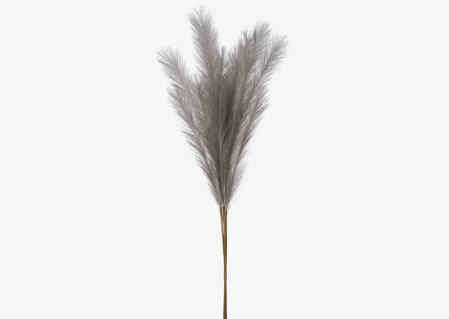 Marianna Pampas Bunch Grey