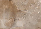 Toile Embraced