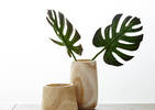 Linden Decor Vase Small Natural