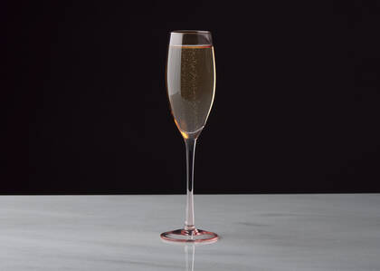 Georgette Champagne Flute Pink