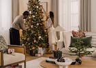 Hearth Home LED Ornament Short