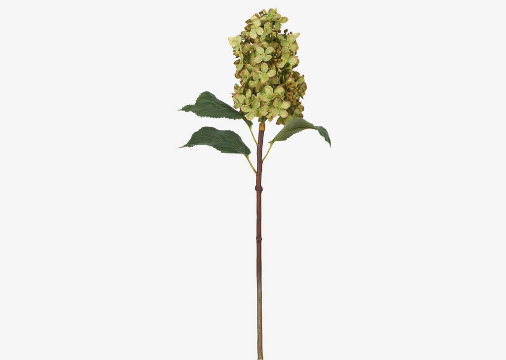 Beth Cone Hydrangea Stem Green
