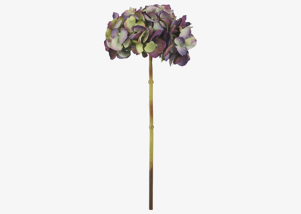 Gretel Hydrangea Stem Purple