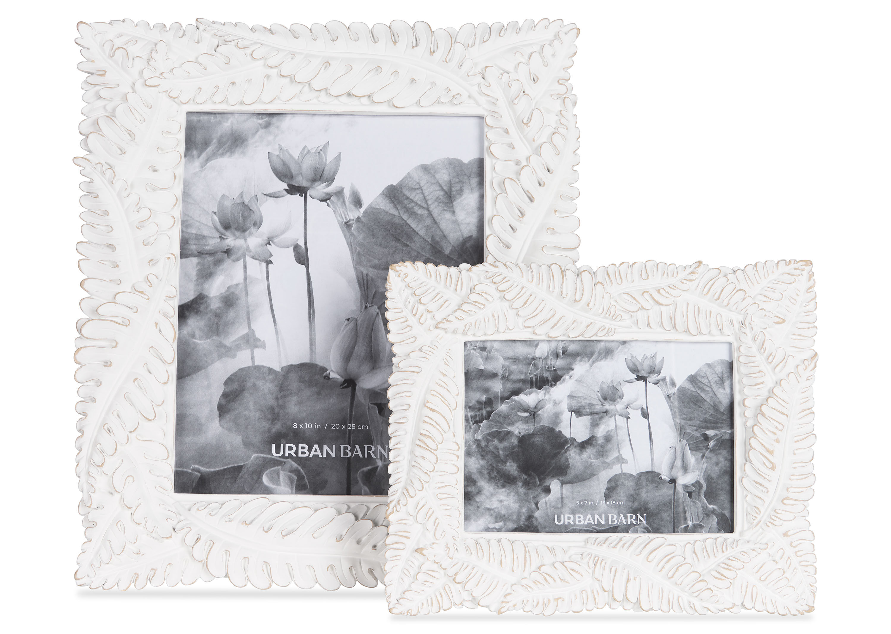 Living Room Furniture And Decor Accessories Urban Barn