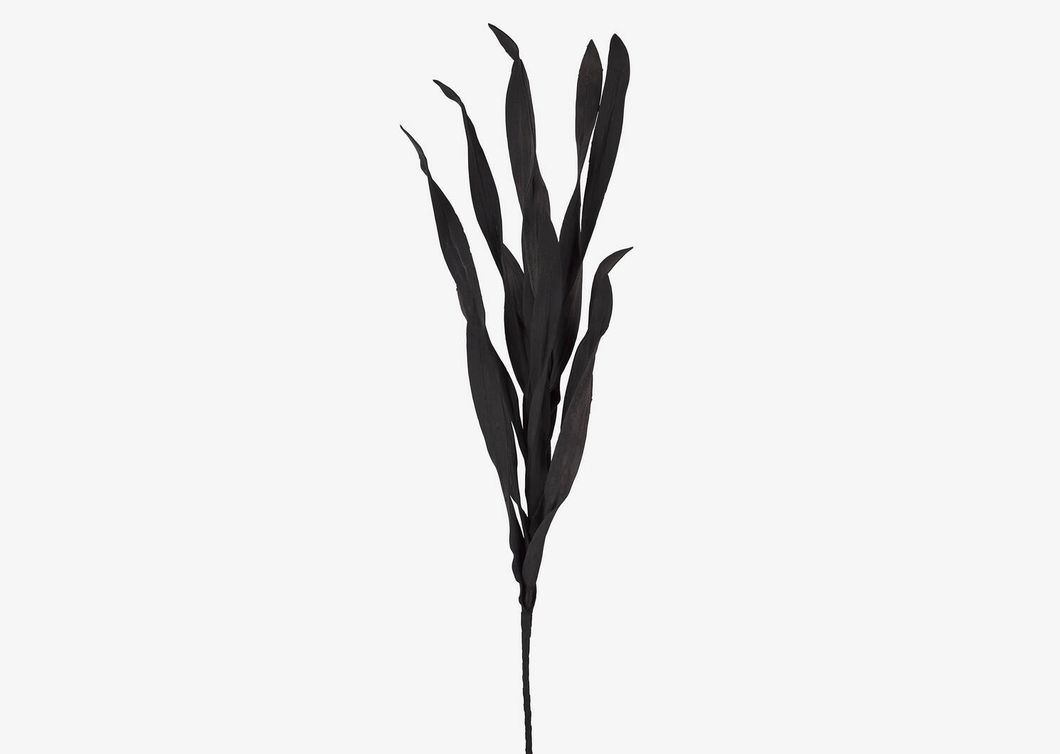 Mamie Grass Stem Black