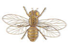 Bernadine Flying Bee Wall Décor