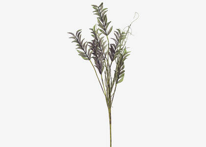 Fia Leaf Stem