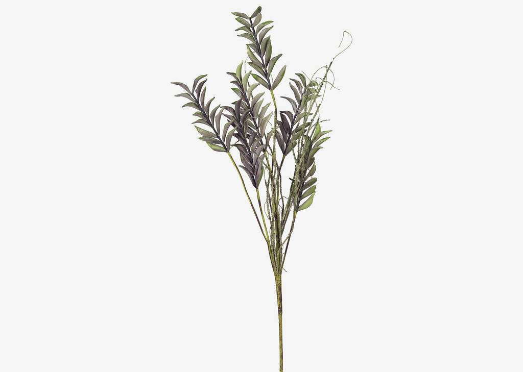 Fia Leaf Stem
