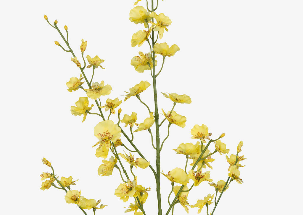 Liza Dancing Orchid Branch Yellow