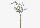 Adaya Berry Branch White/Black