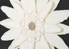 Daisy Paper Flower Wall Accent