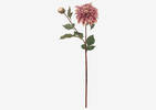 Meg Dahlia Branch Pink