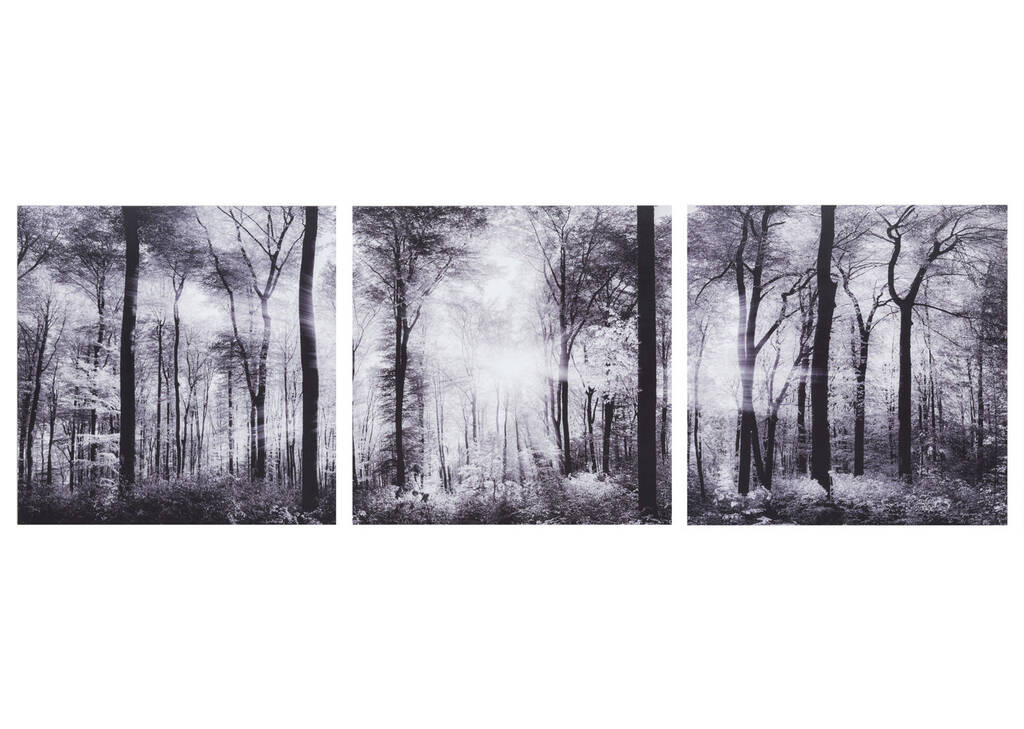Forest Glow Wall Art
