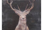 Rocky Deer Wall Art