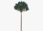 Aleesa Allium Stem Blue Quartz