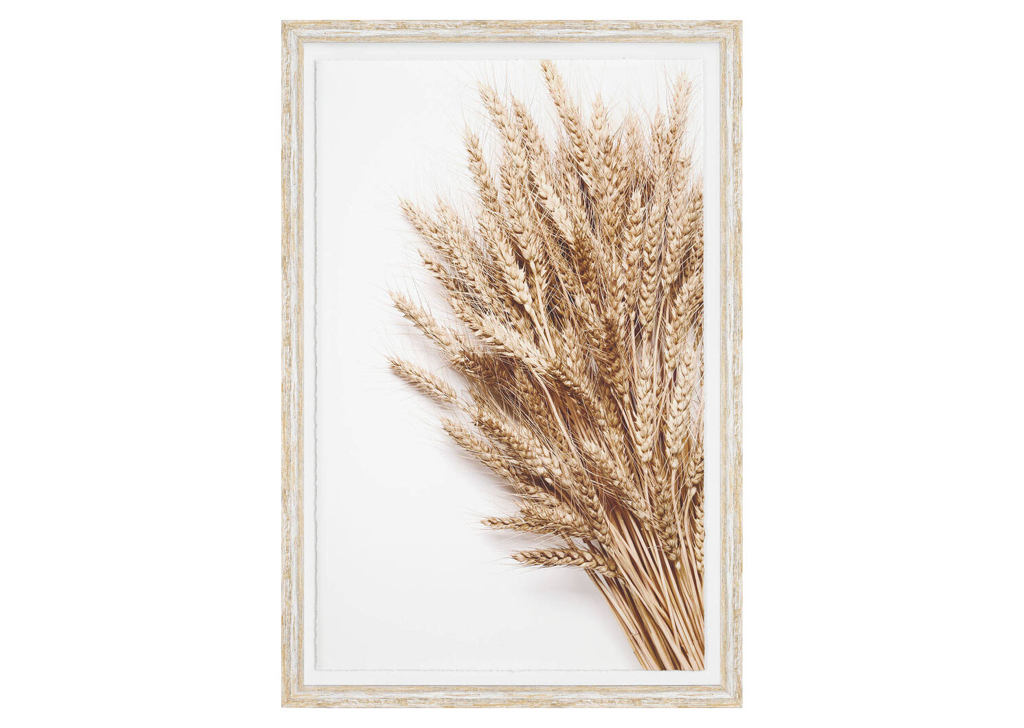 Sheaf Framed Print