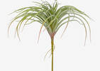 Keimi Air Plant Stem