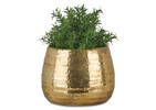 Rikki Planter Small