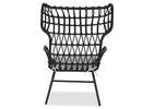 Wren Chair Black -Ari Cloud