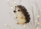 Quilly Hedgehog Orn