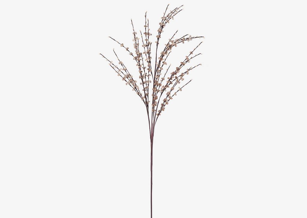 Naida Curly Willow Stem