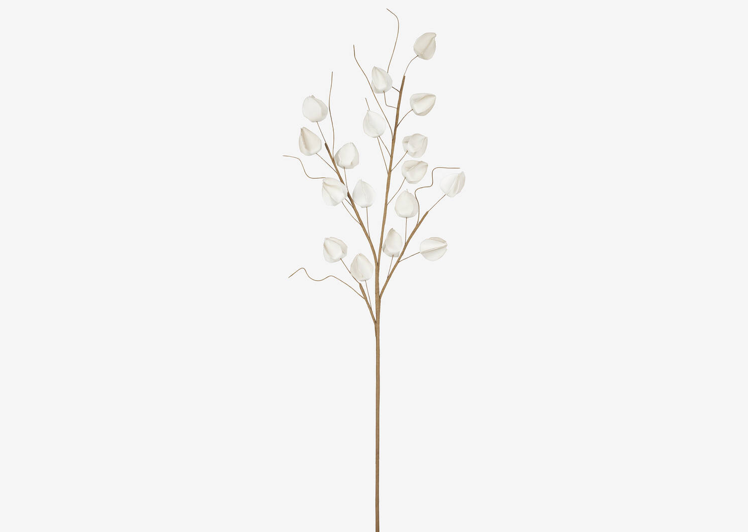 Branche de lanternes Jojo sable