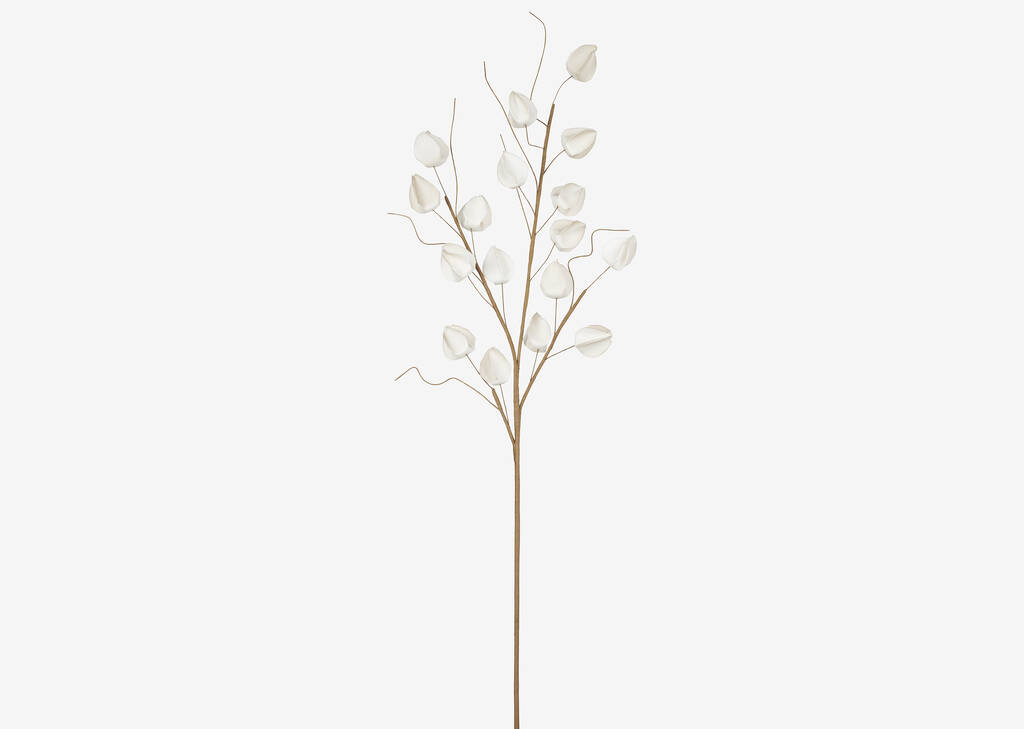 Jojo Lantern Branch Sand