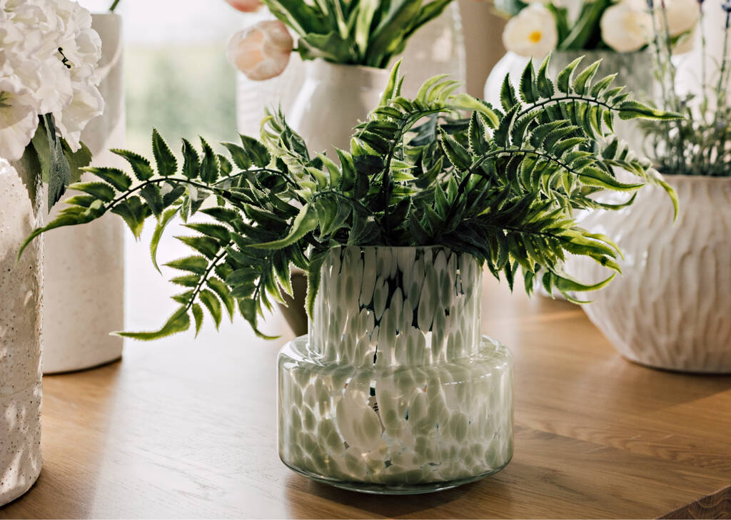 Australia Fern Branch