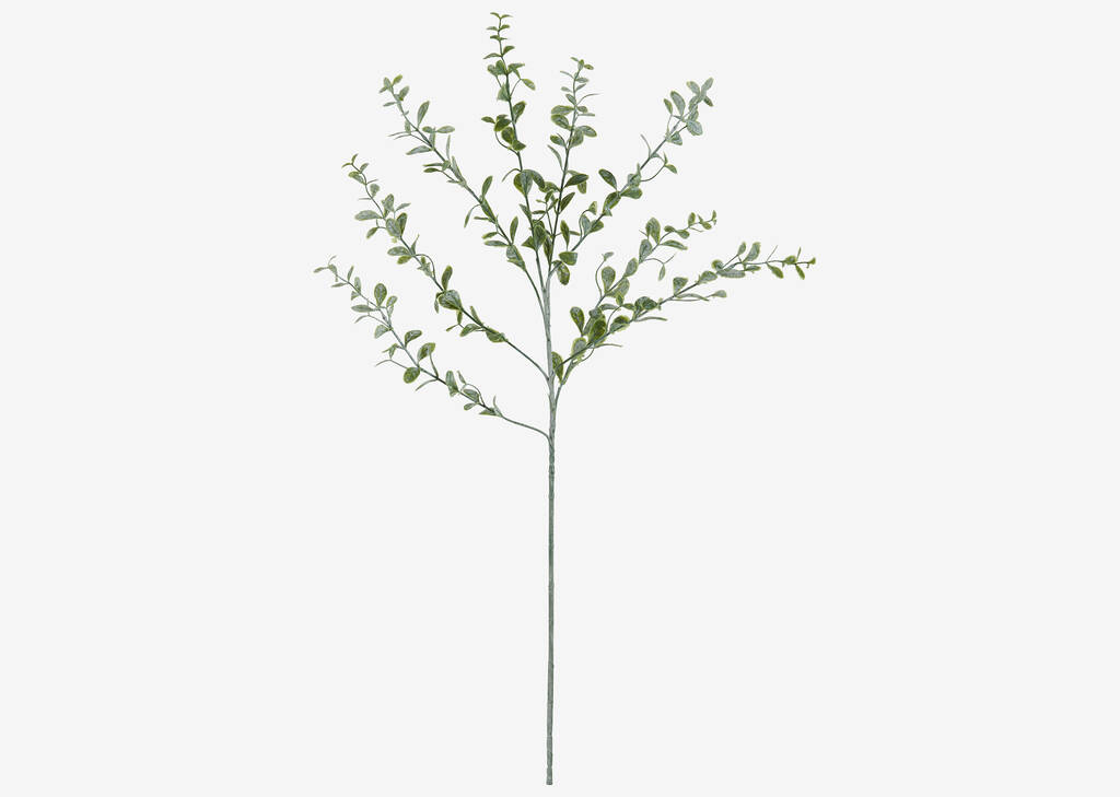 Branche de feuilles Linnea