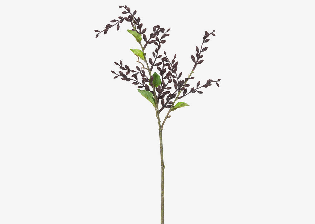 Adaya Berry Branch Port
