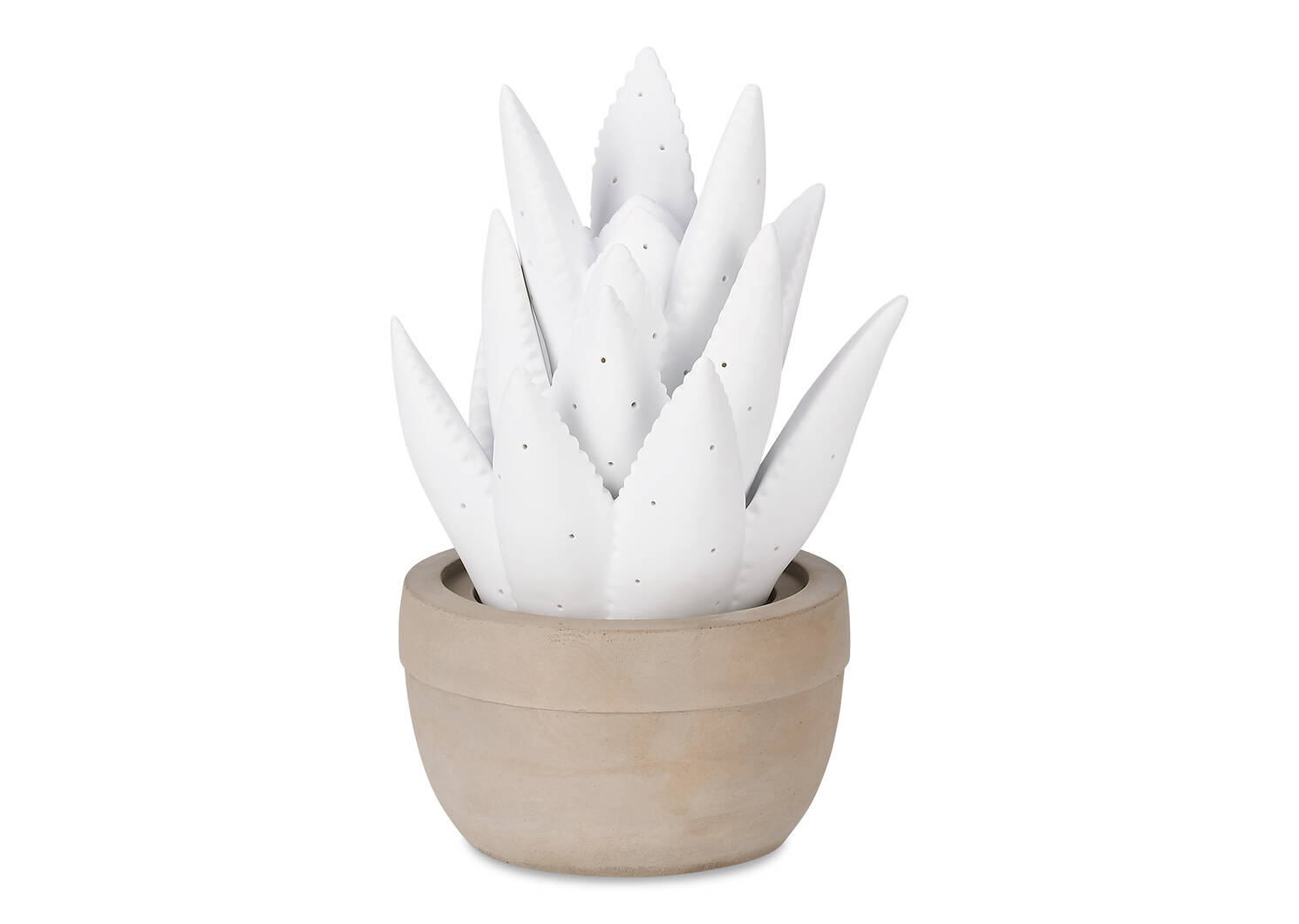 Ally Agave Glow Lamp