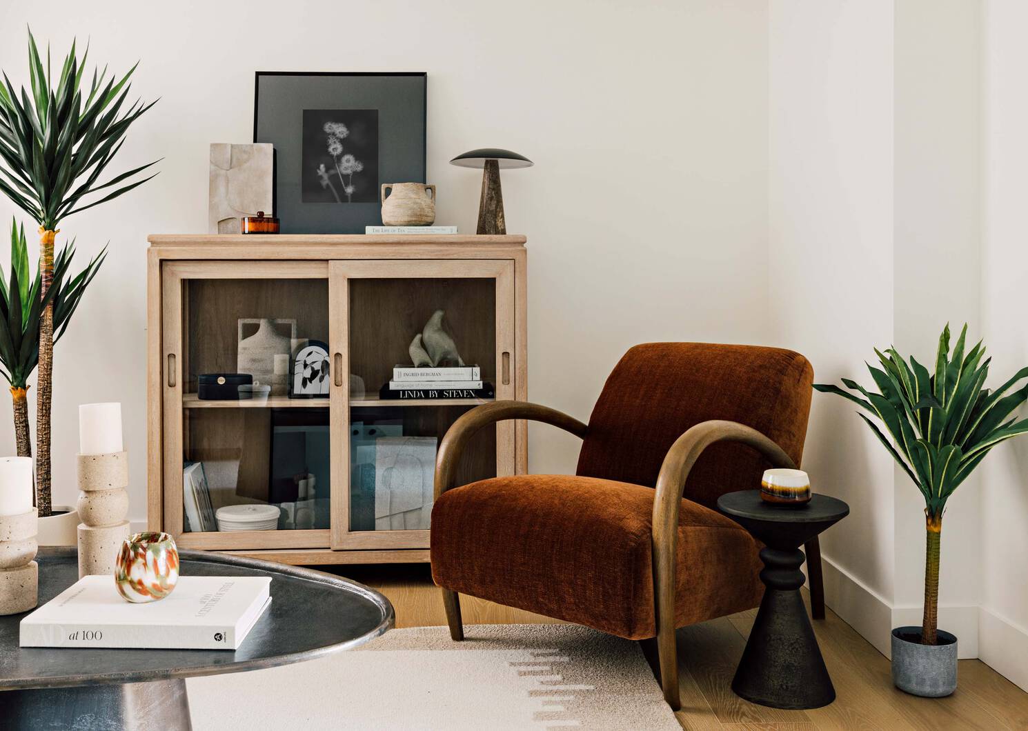 Tate Dracaena Tree Potted