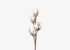 Tige de fleur Dree rose ballet